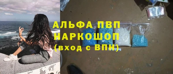 амф Новодвинск
