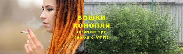 кокс Щигры