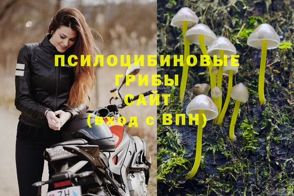 экстази Новозыбков