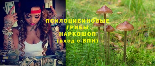экстази Новозыбков