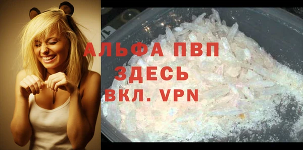 амф Новодвинск