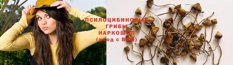 Галлюциногенные грибы Magic Shrooms  Зеленоградск 