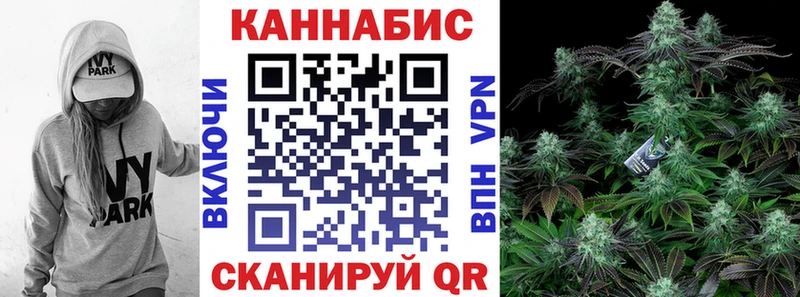 что такое   Зеленоградск  МЕГА как зайти  Канабис конопля 